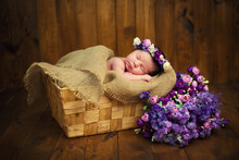 Newborn Baby Girl With A Wreath In A Wicker Basket With A Bouquet Of Purple Wild Flowers