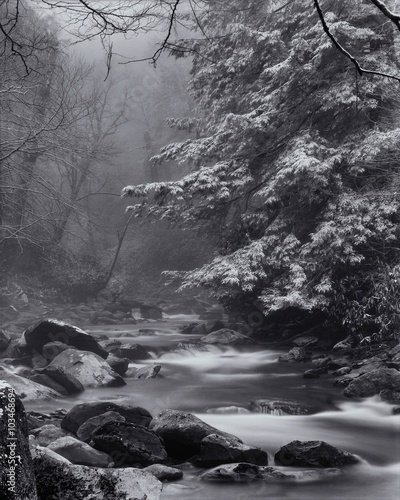Winter in Great Smoky Mountains National Park Tableau sur Toile
