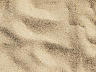 Poster - Sand background texture