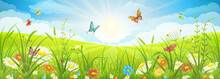 Floral Summer Or Spring Landscape, Meadow With Flowers, Blue Sky And Butterflies