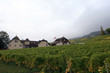 Szwajcarska wioska i winnica