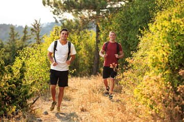 Two men are hiking in forest