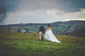 elegant stylish happy brunette bride and gorgeous groom at the s