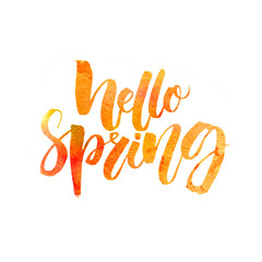 Wall Mural - Hello spring text. Handwritten brush lettering with watercolor texture isolated on white background