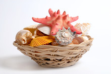 Sea Cockleshells And Starfish In Wattled Basket