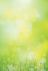 Wall Mural - vector green, bokeh, nature background.