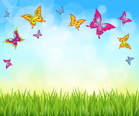 Poster - nature background with grass and butterflies