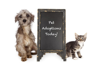 Wall Mural - Rescue Pets With Adoption Event Sign