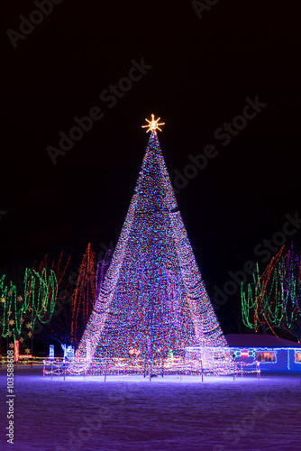 Large Outdoor Christmas Tree Of Lights With A Golden Star At The Top Large Outdoor Christmas Tree Of Lights With A Golden Star At The Top