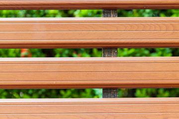 Fresh spring green grass and leaf plant over wood fence backgrou