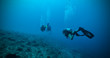 Group of scuba divers underwater