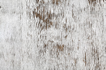 Wall Mural - wood