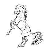 Fototapeta Konie - Galloping horses. Hand-drawn illustration