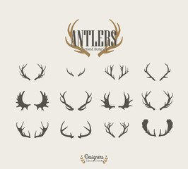 premium antler illustrations