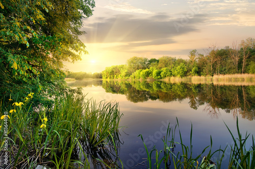 Naklejka dekoracyjna Vibrant sunset on river