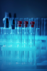 Wall Mural - test tubes in holder closeup