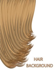 Wall Mural - hair background