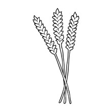 Black And White Cartoon Wheat