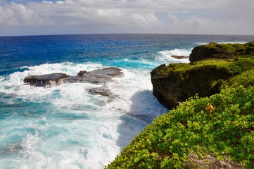 Whale Rock