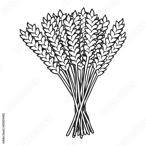 Black And White Cartoon Wheat Buy This Stock Vector And Explore Similar Vectors At Adobe Stock Adobe Stock