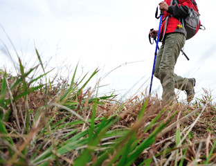 Wall Mural - young woman hiker hiking on seaside trail