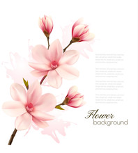 Spring Background With Blossom Brunch Of Pink Flowers. Vector
