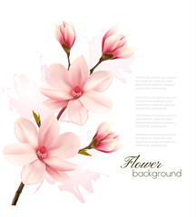 Wall Mural - Spring background with blossom brunch of pink flowers. Vector