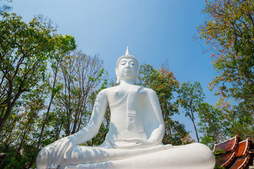 Buddha statue at Wat Analayo Thipphayaram, Phayao Thailand