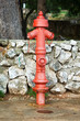 © vladimirzhoga - Red fire hydrant