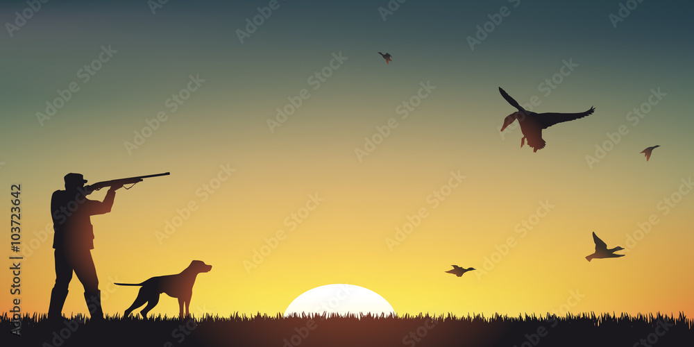 hunting-duck-sunset