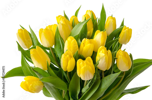 Fototapeta do kuchni Bukiet żółtych tulipanów