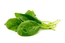 Spinach On A White Background