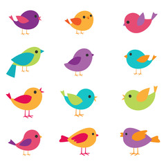 vector birds set