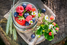 Fresh Breakfast With Berry Fruits And Yogurt In Garden