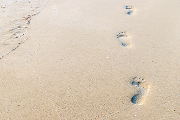 footprints on the beach