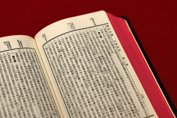 Chinese Bible