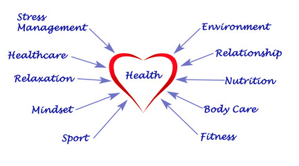 Wall Mural - Diagram of health