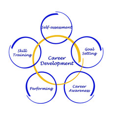 Career development