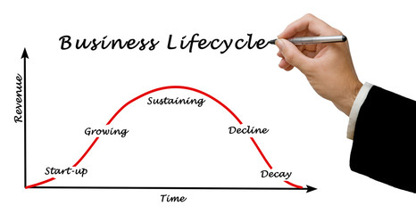 Canvas Print - Business lifecycle