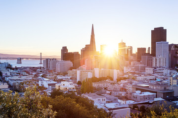 Wall Mural - cityscape of San Francisco and skyline