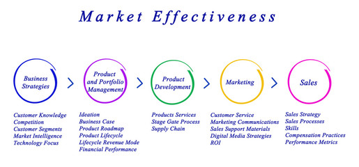 Wall Mural - Diagram of Market Effectiveness.