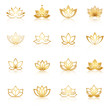 Golden Lotus symbol icons. Vector floral labels for Wellness ind