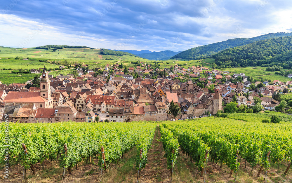 View of Riquewihr village in Alsace - obrazy, fototapety, plakaty 