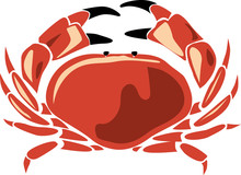 Red  Stone Crab