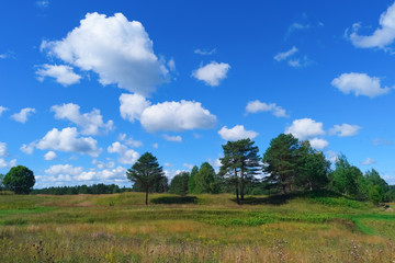 Wall Mural - Beautiful summer landscape