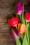 Fototapeta Tulipany - bouquet of purple and red  tulips