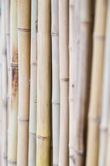  Bamboo sticks are sold and used in construction across  Asia