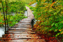 Wood Path In The Plitvice National Park In Autumn