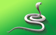 3d Albino king cobra snake isolated on green background