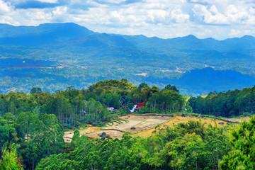 Wall Mural - Green rice field  in Tana Toraja